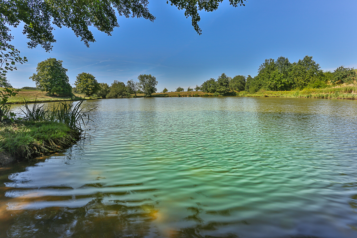 Am Weiher