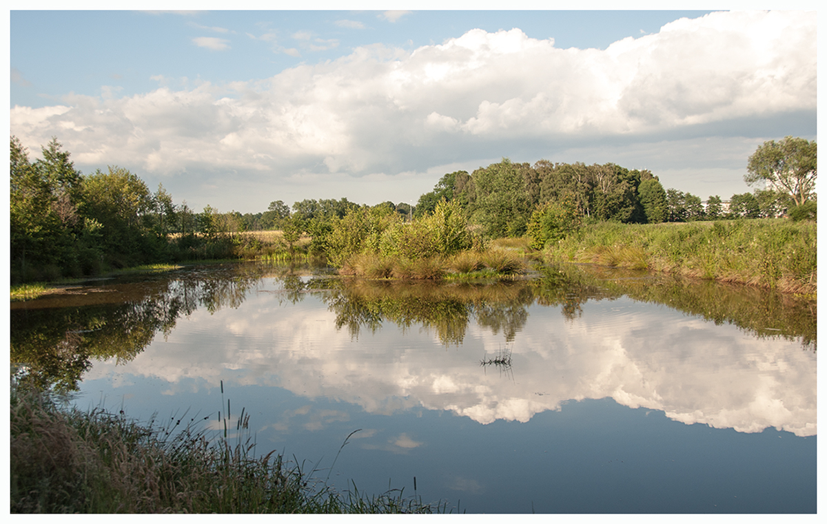 Am Weiher