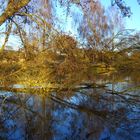 Am Weiher