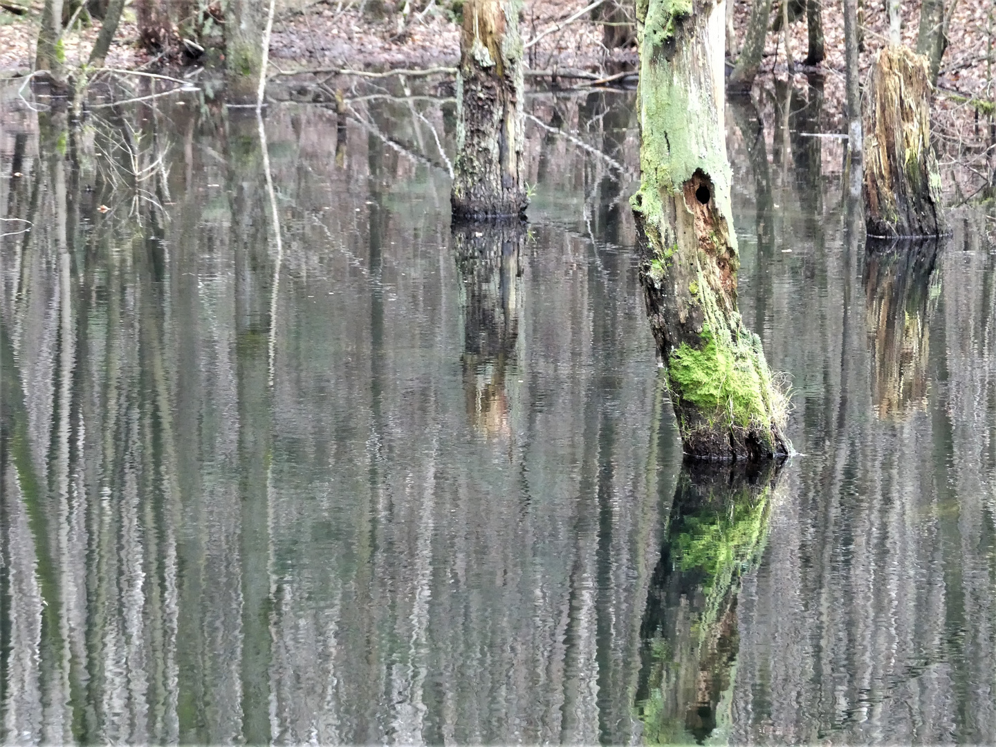 Am Weiher