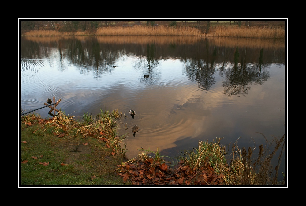 Am Weiher