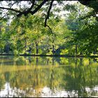 am Weiher