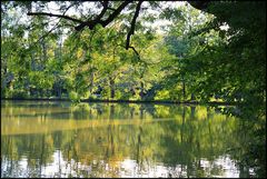 am Weiher