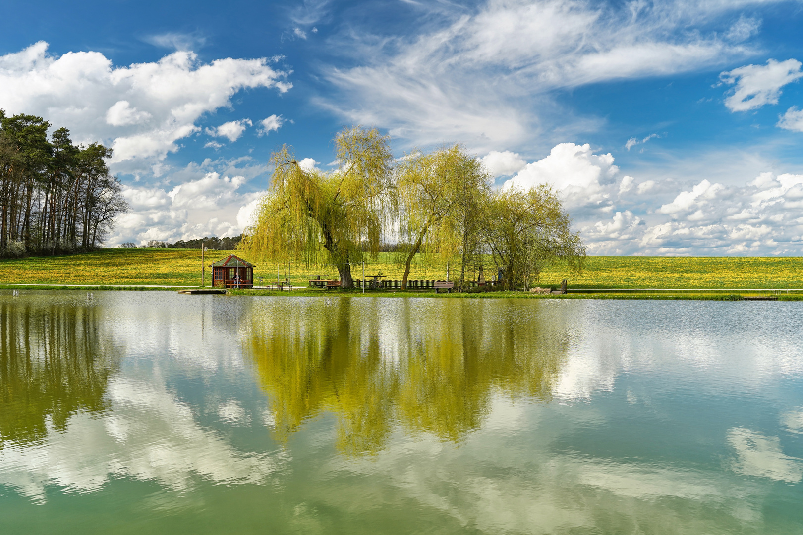 Am Weiher.