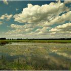 Am Weiher