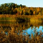 Am Weiher