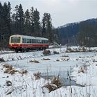 Am Weiher