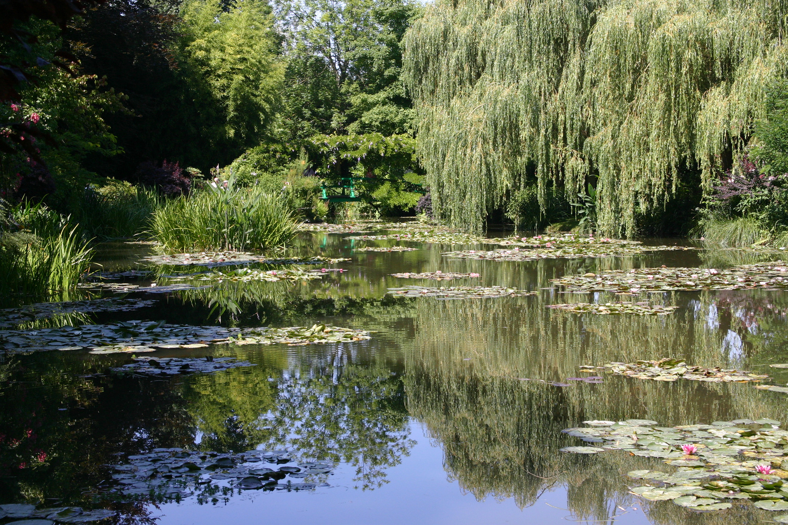 Am Weiher