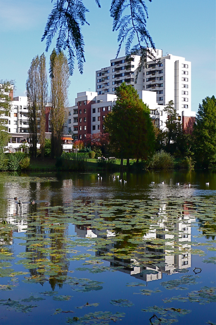 AM WEIHER