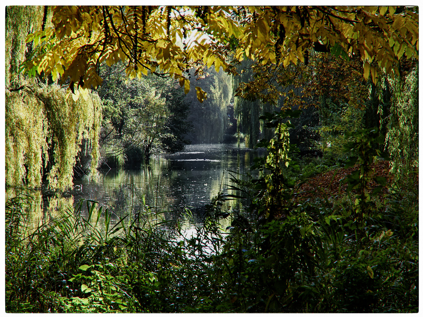 Am Weiher