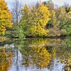 Am Weiher