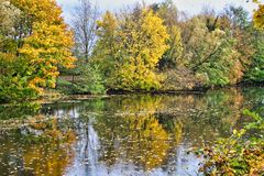 Am Weiher