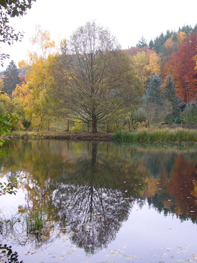 Am Weiher