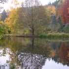 Am Weiher