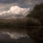 Am Weiher