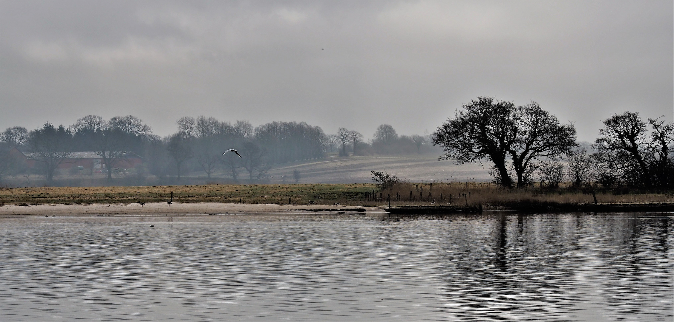 am Weiher 