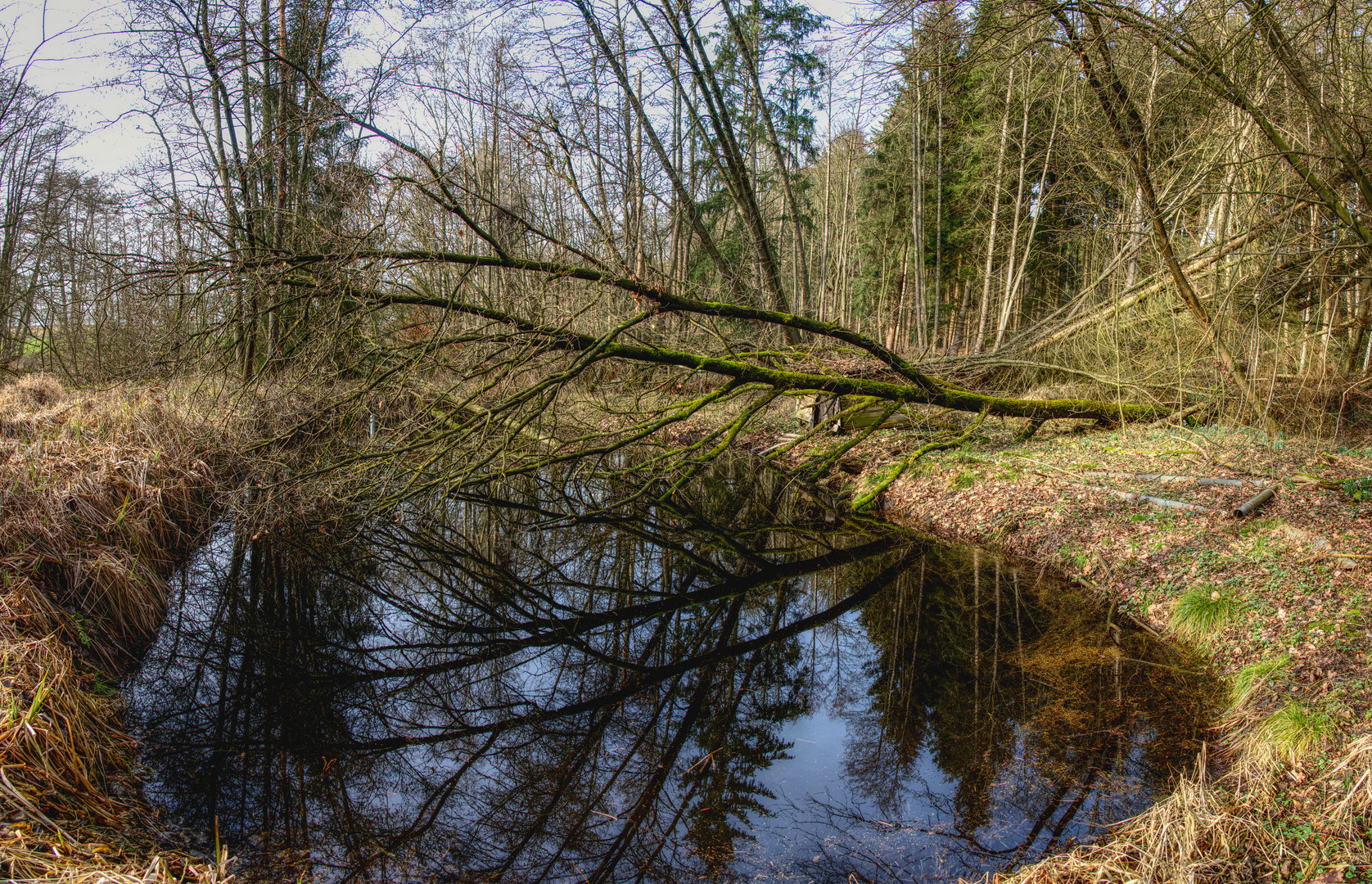 am Weiher