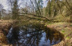 am Weiher