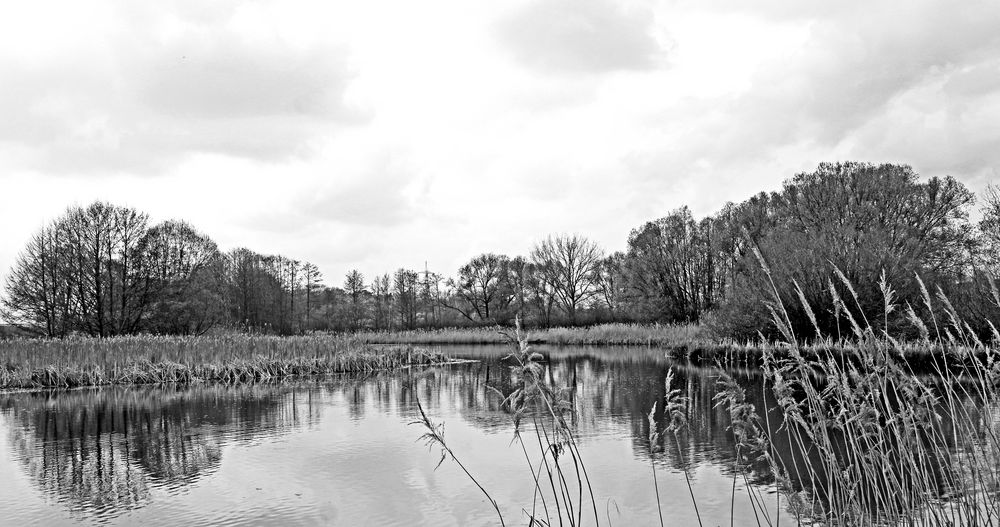 Am Weiher