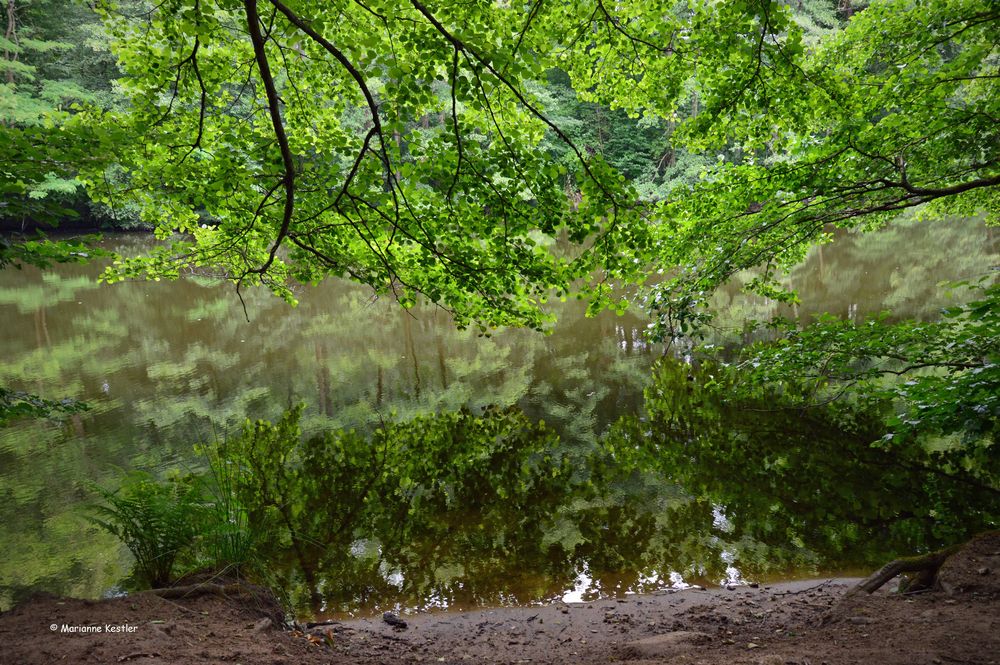 Am Weiher