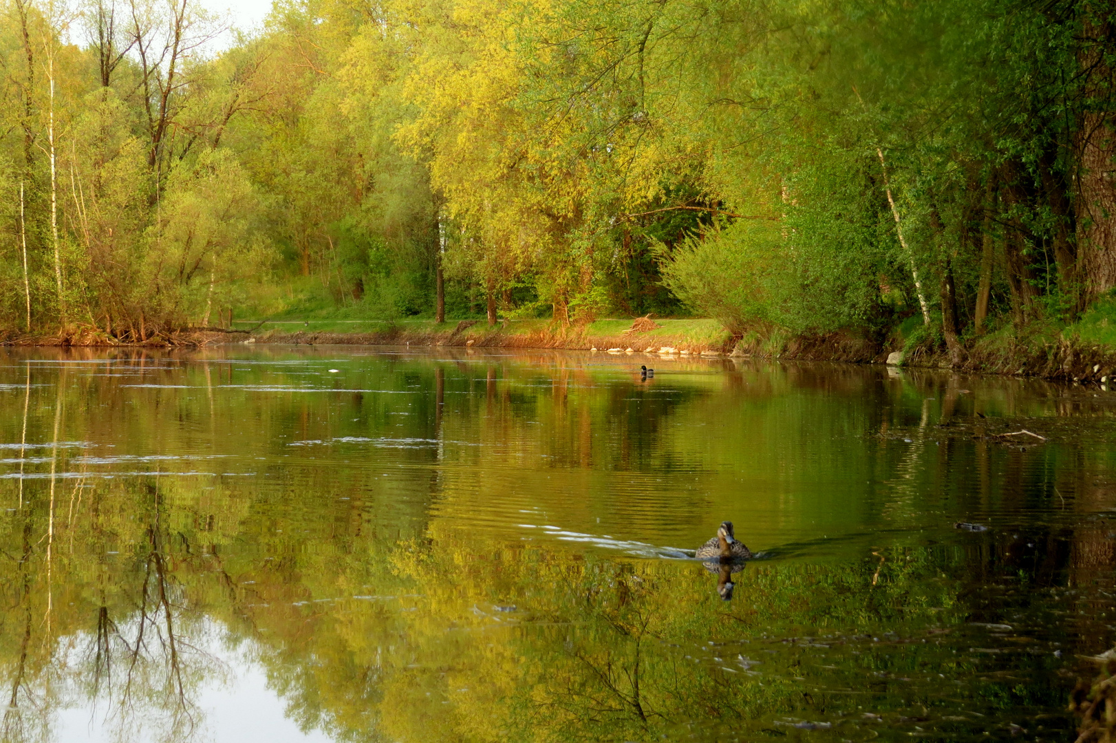 Am Weiher