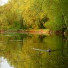 Am Weiher