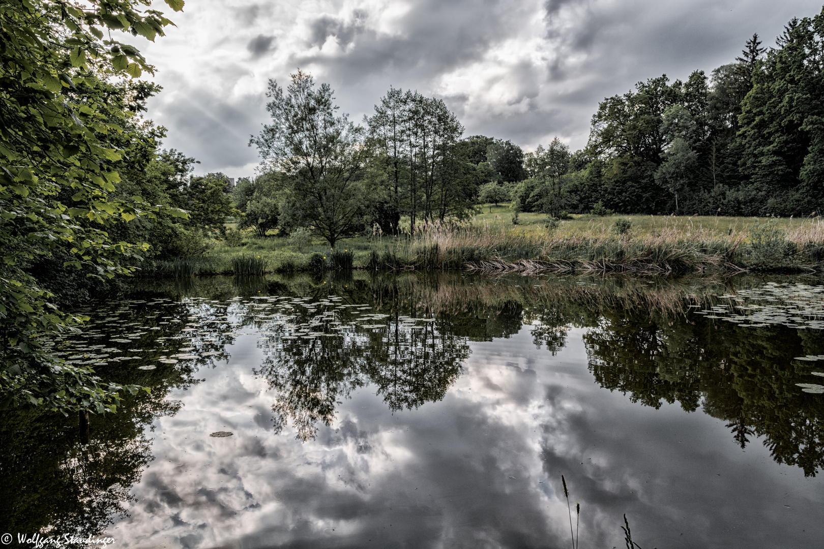 Am Weiher Foto & Bild natur, landschaft, heimat Bilder auf