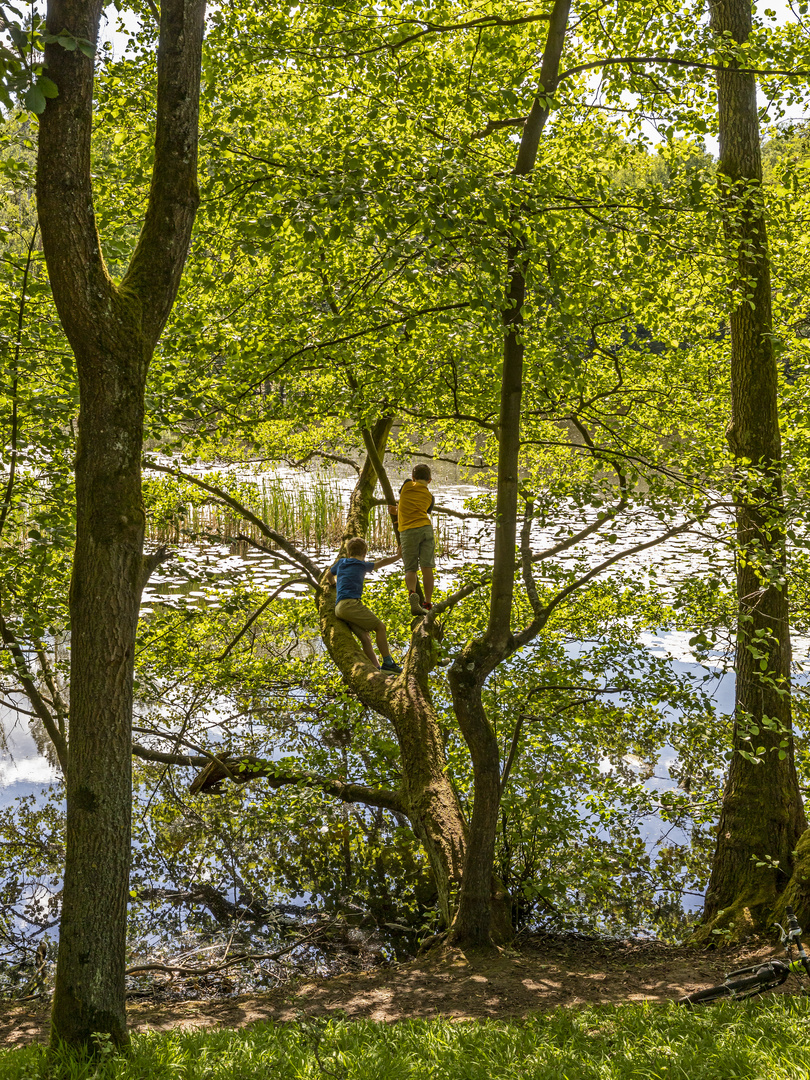 Am Weiher