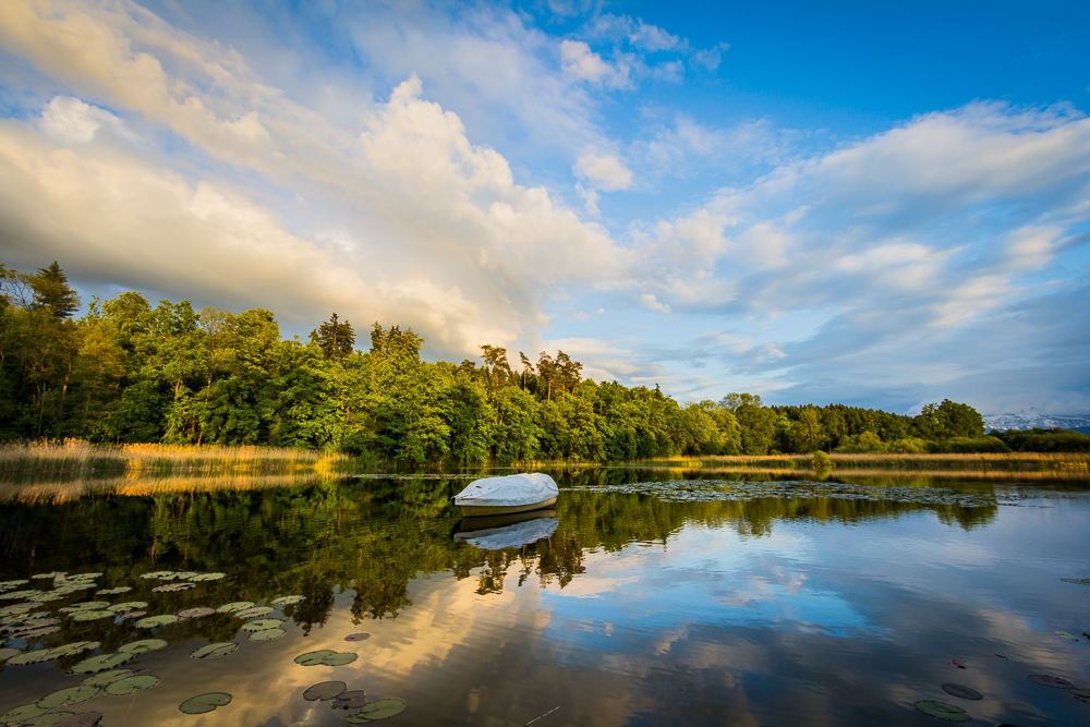 am Weiher von Lukas von Dach 