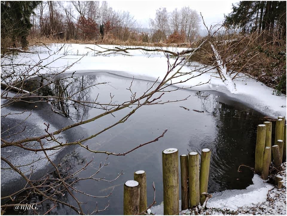 am Weiher …..