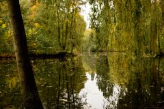 Am Weiher