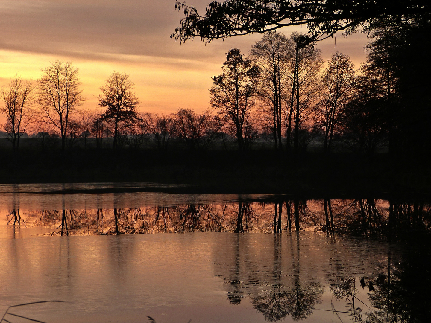 Am Weiher...