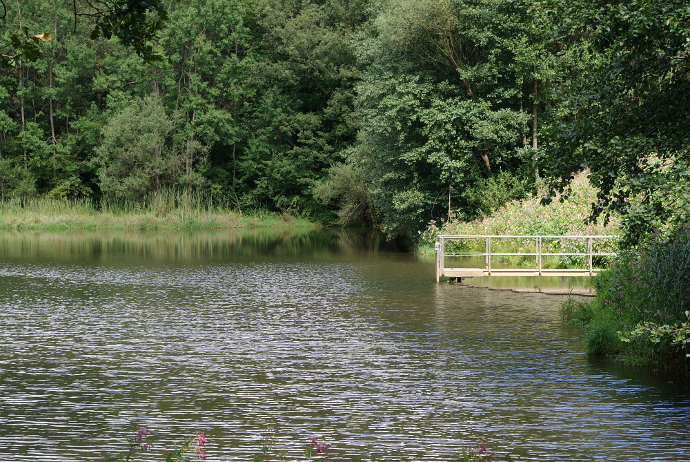Am Weiher Foto & Bild landschaft, bach, fluss & see, see, teich