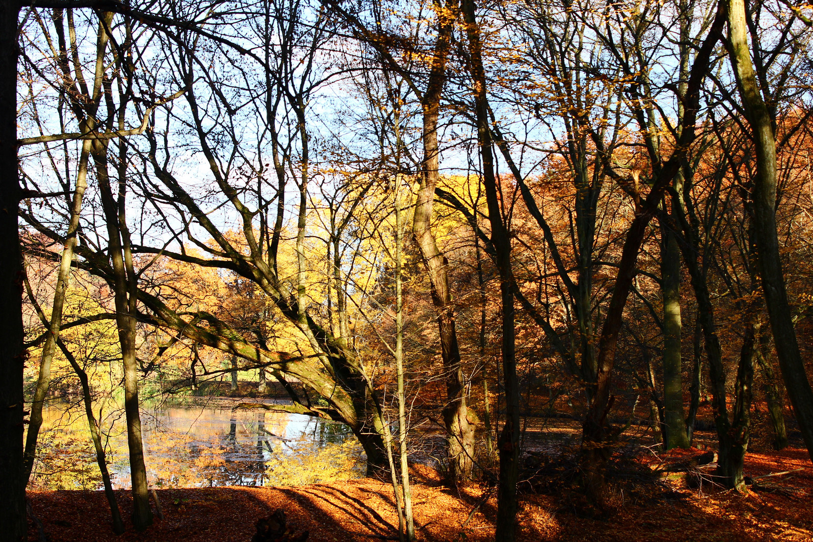 Am Weiher