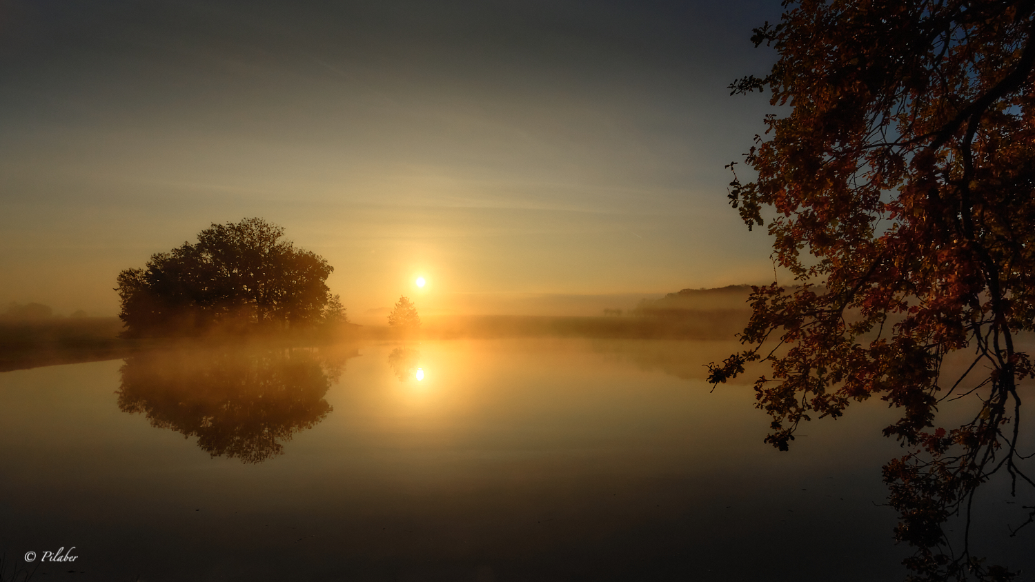 Am Weiher