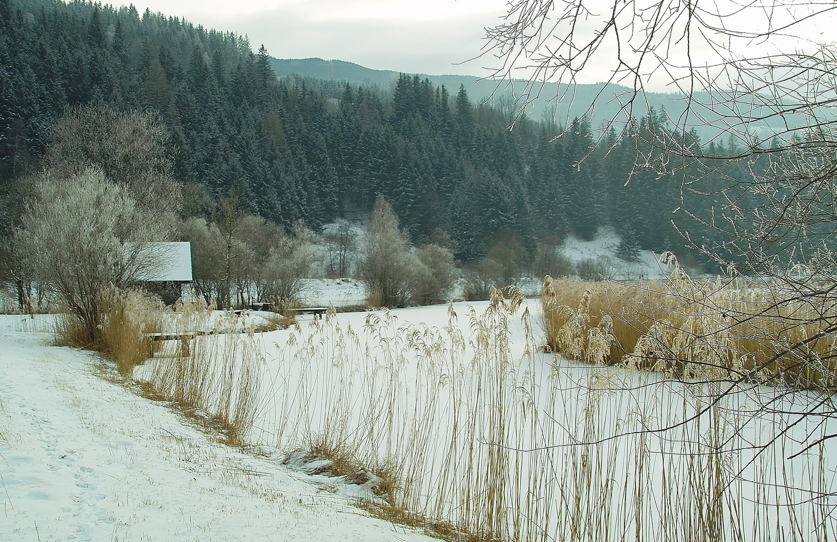 Am Weiher