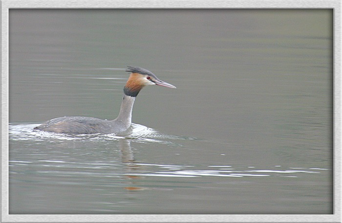 Am Weiher