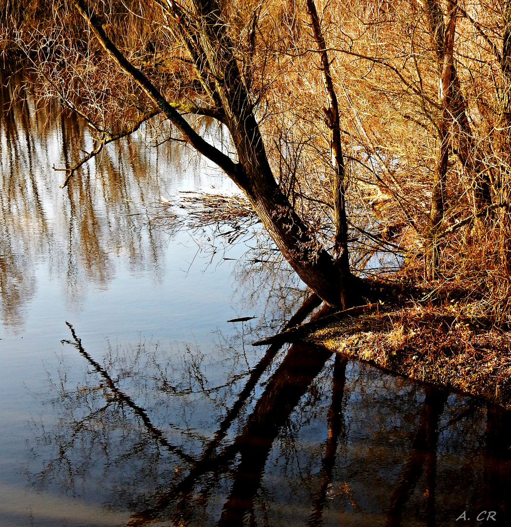 Am Weiher