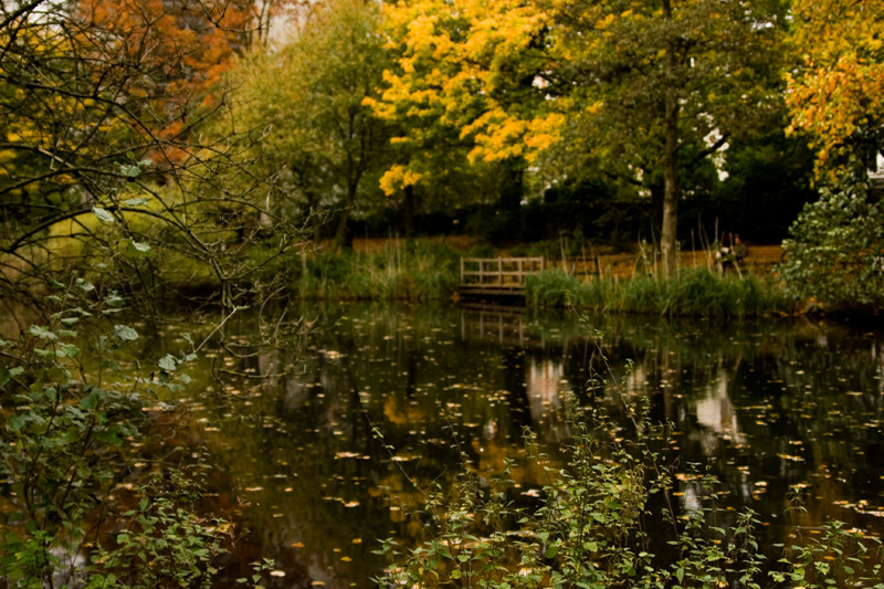 Am Weiher