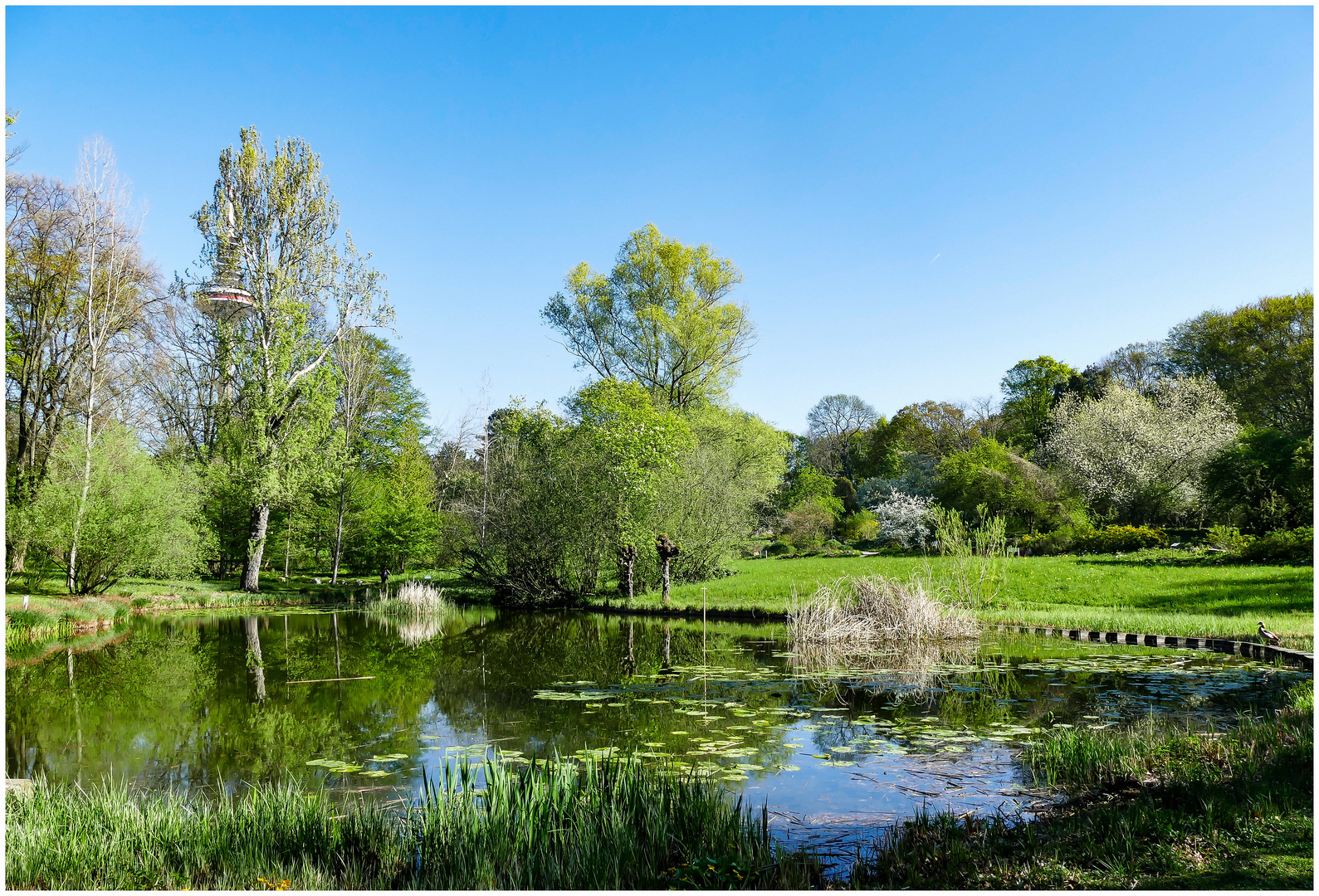 Am Weiher