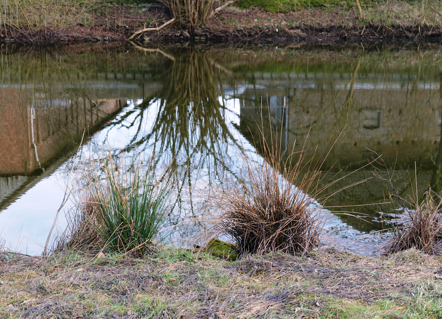 Am Weiher