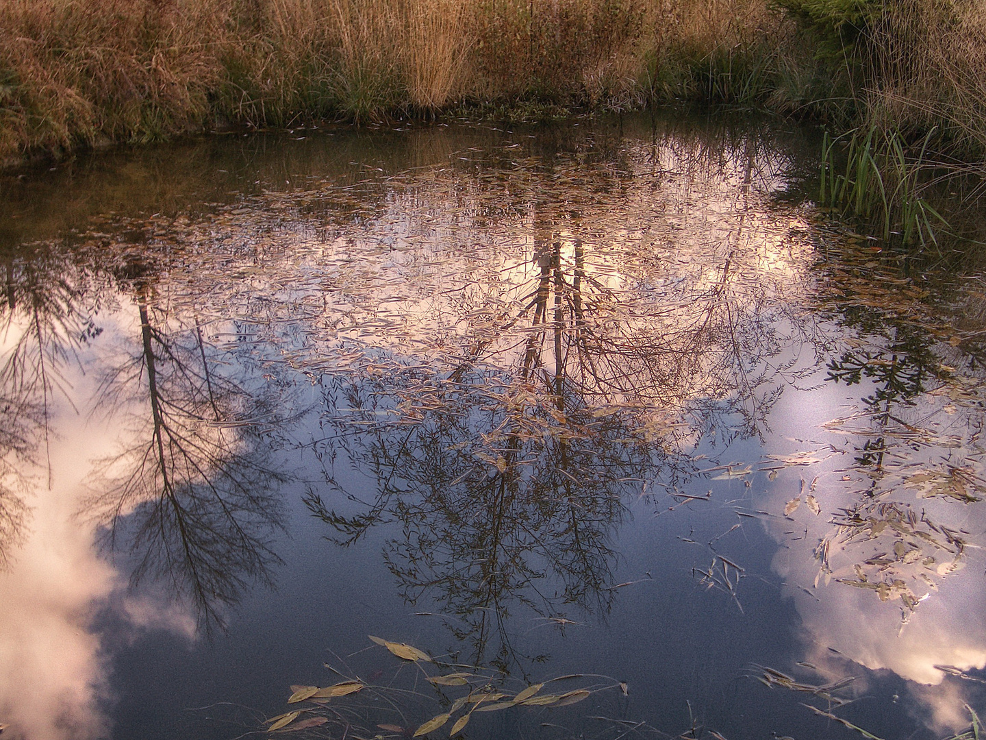 Am Weiher