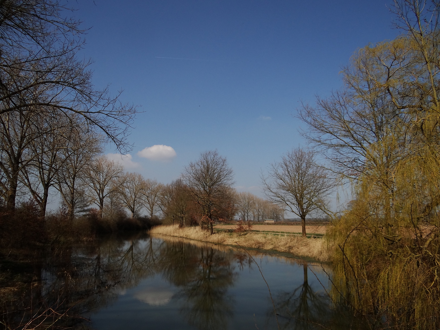 Am Weiher