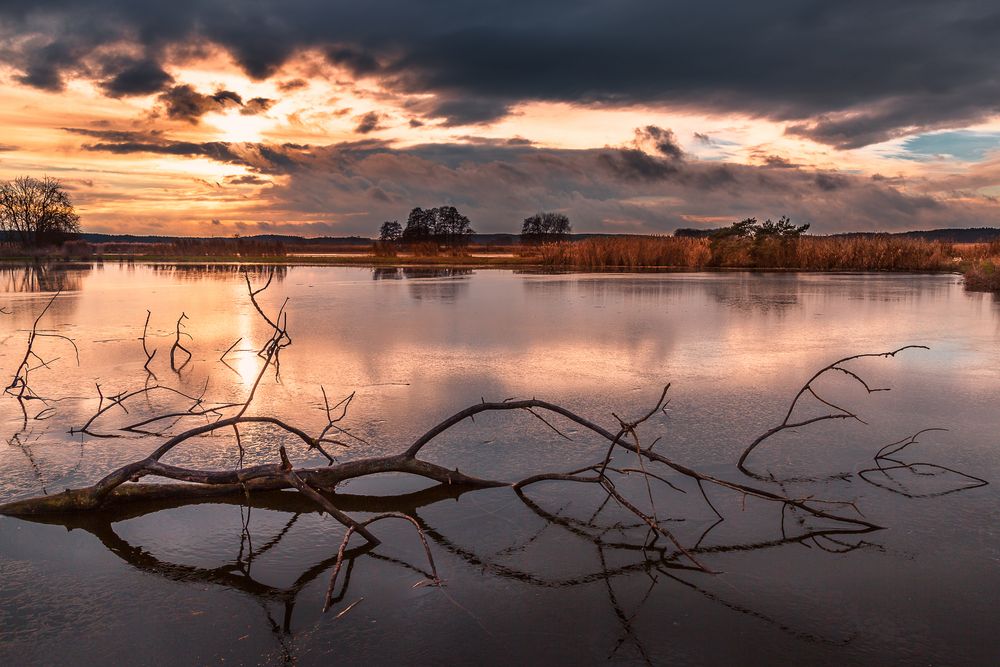 Am Weiher