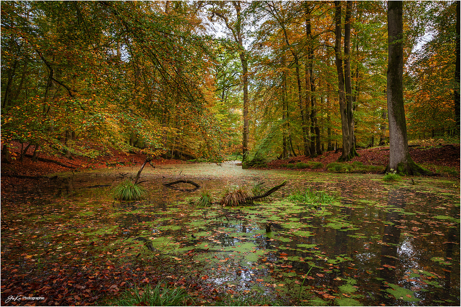 am Weiher