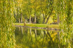 Am Weiher - Blankenheim/Eifel