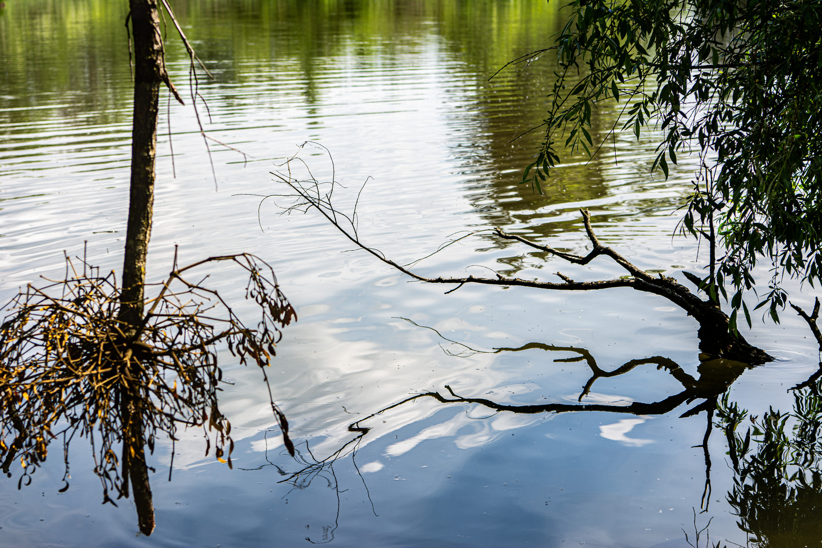 Am Weiher