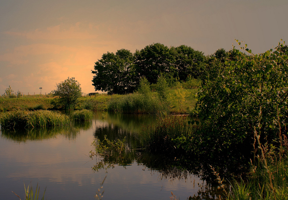 Am Weiher