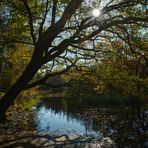 Am Weiher