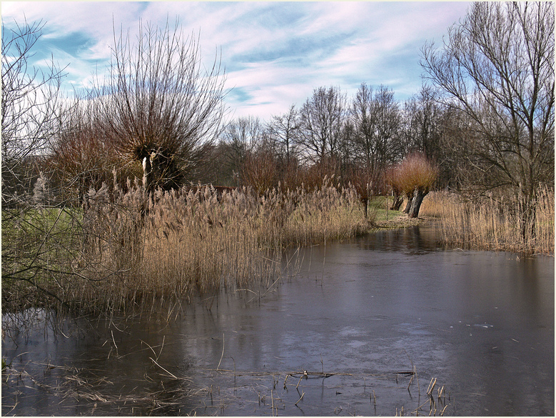 Am Weiher